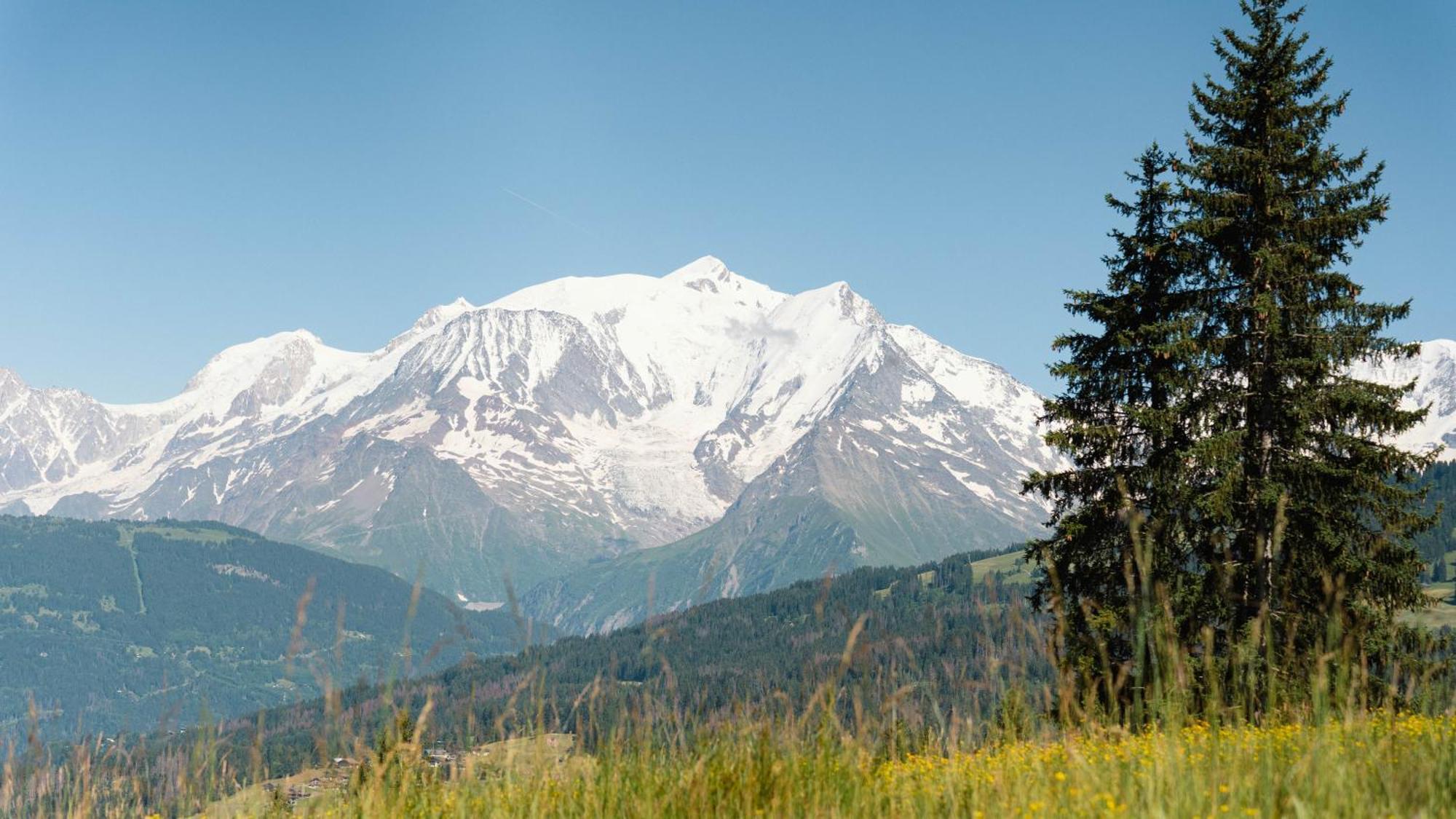 Chalet Alpen Valley, Mont-Blanc Combloux Exterior photo